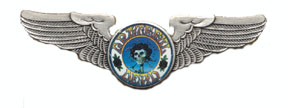 grateful dead skull wings pin