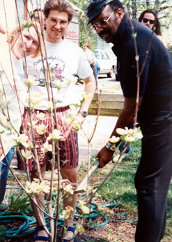 merl saunders tree planting