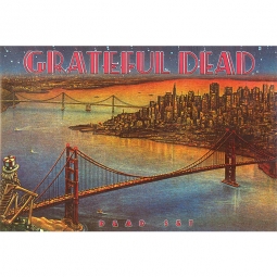 Grateful Dead Dead Set Poster