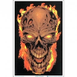 Flaming Skull Black Light Poster