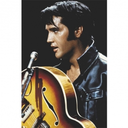 Elvis Presley The King Of Rock N' Roll Poster
