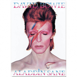 David Bowie Aladdin Sane Magnet