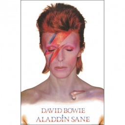 David Bowie Aladdin Sane Poster