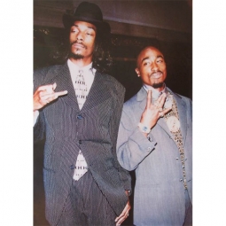 Snoop Dogg & Tupac Shakur Suits Poster