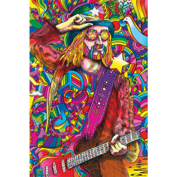 Hippie Vibe Poster