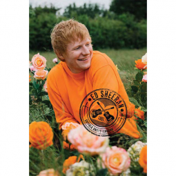 Ed Sheeran Rose Garden Poster