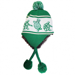 Grateful Dead Terrapins Green Ski Hat