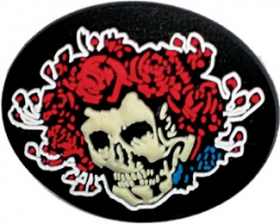 Grateful Dead Skull & Roses Rubber Pin