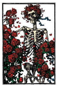 Grateful Dead Skull & Roses Magnet
