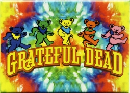 Grateful Dead Bears On Tie Dye Magnet