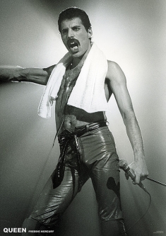 Queen Freddie Mercury Live Poster