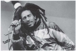 Bob Marley Dread Locks Poster