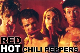 Red Hot Chili Peppers Peppers Poster