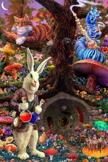 Alice Down The Rabbit Hole Poster