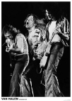 Van Halen Rotterdam 1979 Poster