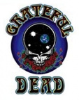 Grateful Dead Space Your Face Temporary Tattoo