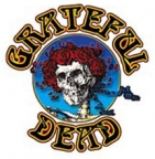 Grateful Dead Skull & Roses Temporary Tattoo