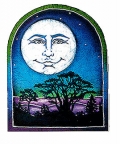 Full Moon Window Sticker