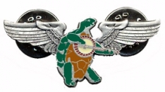 Grateful Dead Banjo Terrapin Wings Pin