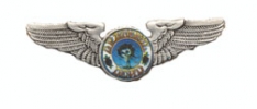 Grateful Dead Small Skull & Roses Wings Pin