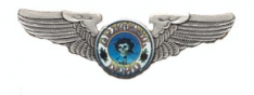 Grateful Dead Large Skull & Roses Wings Pin