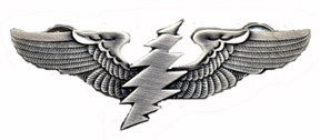 Grateful Dead Large Bolt Wings Pin: Woodstock Trading Company