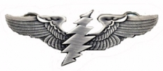 Grateful Dead Large Bolt Wings Pin