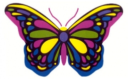 Multicolor Butterfly Sticker